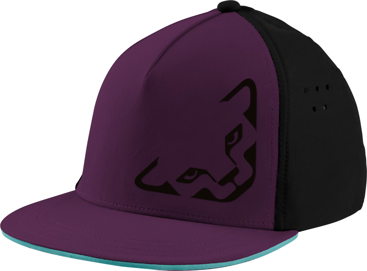 Καπέλο Dynafit TECH TRUCKER CAP