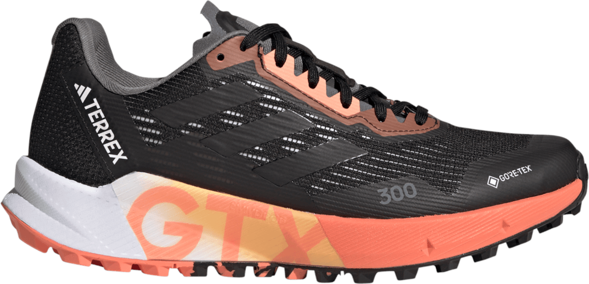 Παπούτσια Trail adidas TERREX AGRAVIC FLOW 2 GTX W