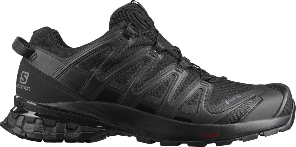 Παπούτσια Trail Salomon XA PRO 3D v8 GTX W