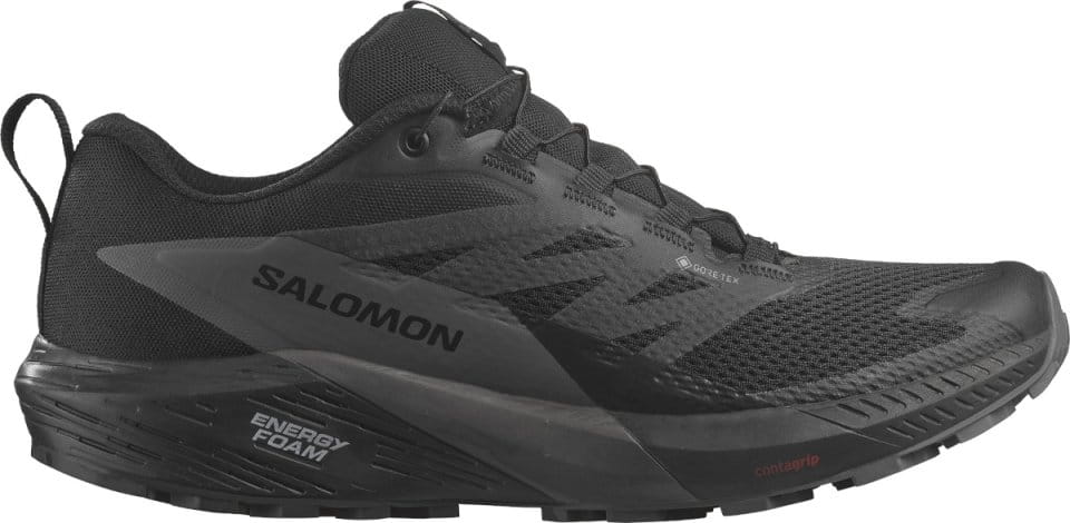 Παπούτσια Trail Salomon SENSE RIDE 5 GTX