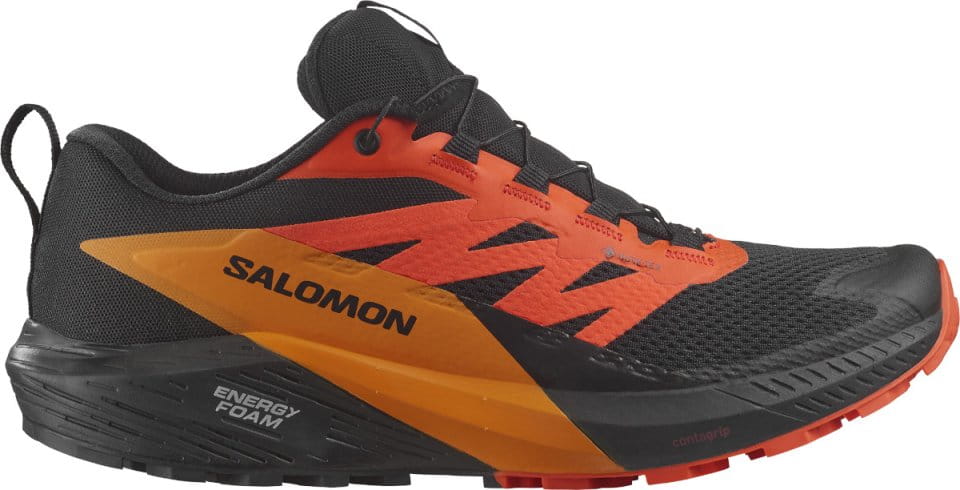 Παπούτσια Trail Salomon SENSE RIDE 5 GTX