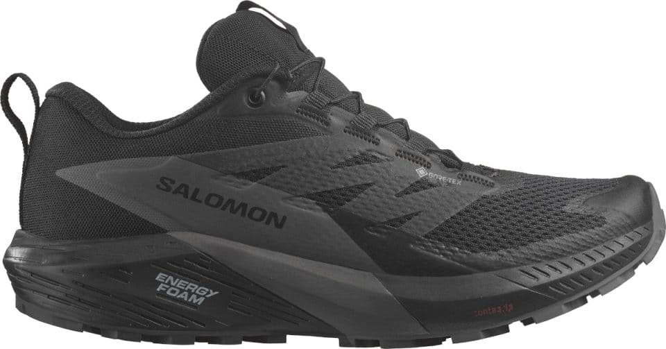 Παπούτσια Trail Salomon SENSE RIDE 5 GTX W