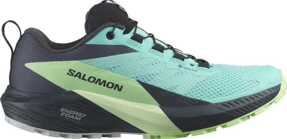 Παπούτσια Trail Salomon SENSE RIDE 5 GTX W
